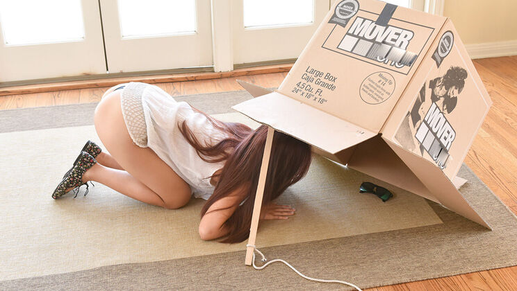 [ExxxtraSmall] - Caught Red Handed: Petite Teen Thief - Elle Voneva