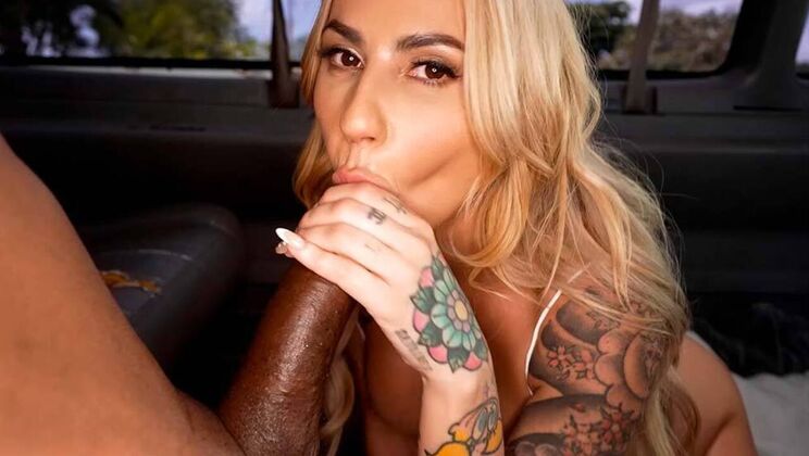 Shaved Pussy, High Price